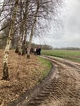 IMG_2416