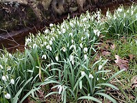 IMG_20240210_145727635_HDR