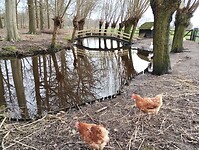 IMG_20240210_132901367