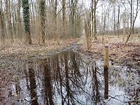 IMG_20240210_120806321