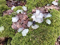 IMG_20240210_120038565