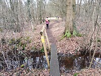 IMG_20240210_120001131