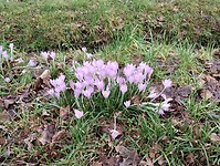 IMG_20240210_114158035