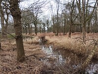 IMG_20240210_111327725