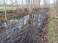 IMG_20240210_093056007
