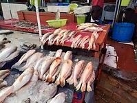 IMG_20240224_090127663_HDR