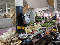 IMG_20240224_083621157