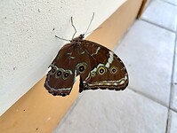 IMG_20240220_100318185_HDR