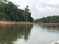 IMG_20240301_163104993