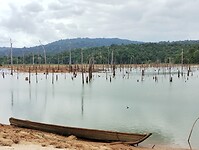 IMG_20240301_140845529