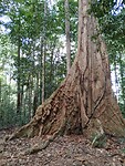 IMG_20240302_143445901
