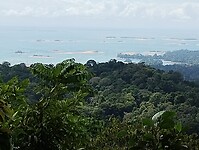 IMG_20240302_113313811