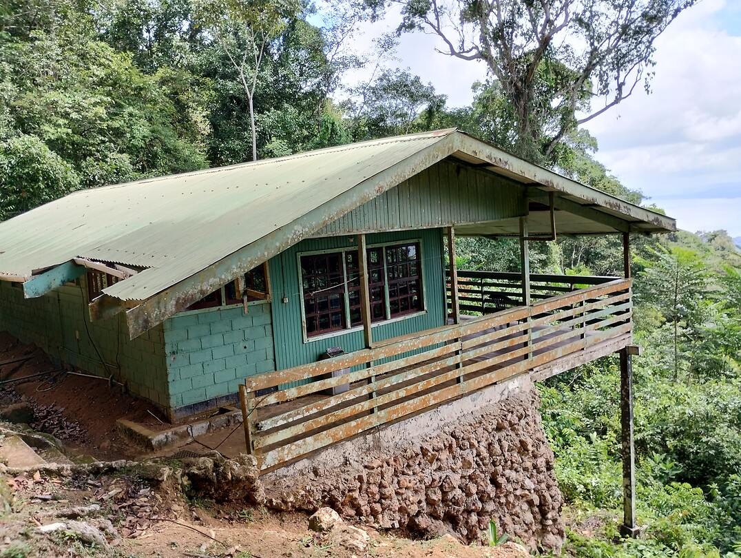 IMG_20240302_111601192_HDR