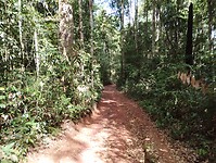 IMG_20240302_101113551