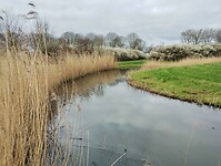 IMG_20240316_102503152
