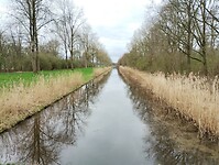 IMG_20240316_104311226