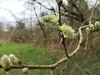 IMG_20240316_112428348