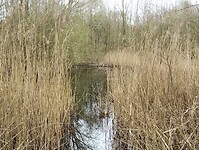 IMG_20240316_113908174