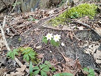 IMG_20240316_114039143