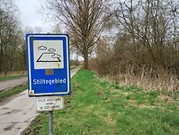 IMG_20240316_123119597