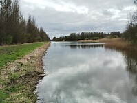 IMG_20240316_130854354