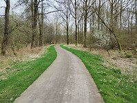 IMG_20240316_132422784