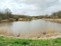 IMG_20240316_133141389