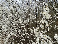 IMG_20240316_134022129