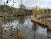 IMG_20240316_135304578