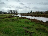 IMG_20240324_100013059_HDR