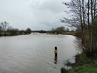 IMG_20240324_101636937