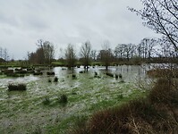 IMG_20240324_103649950