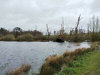 IMG_20240324_103930196