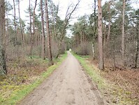 IMG_20240324_115839221