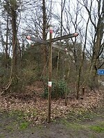 IMG_20240324_121806458