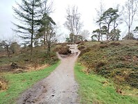 IMG_20240324_131753136