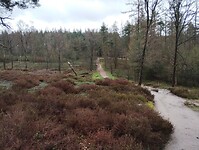 IMG_20240324_131909273