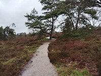 IMG_20240324_131946395