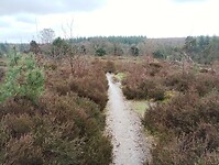 IMG_20240324_132253865