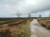 IMG_20240324_140321986