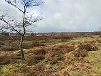IMG_20240324_140431621