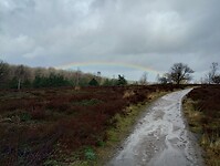 IMG_20240324_141631866_HDR