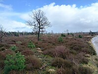 IMG_20240324_143316332_HDR