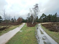 IMG_20240324_143717430
