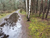 IMG_20240324_144327037