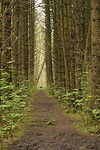 IMG-20240330-WA0009