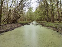 IMG_20240330_114945680
