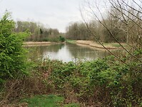 IMG_20240330_112821798