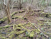 IMG_20240330_110407377
