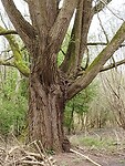 IMG_20240330_105757835